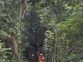 Tn DSC 4293
